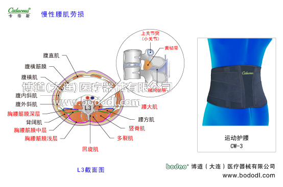 腰椎部的运动损伤与防护