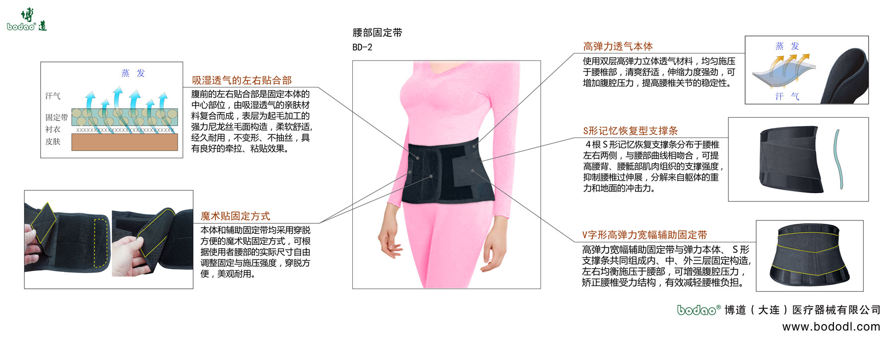 腰部固定带