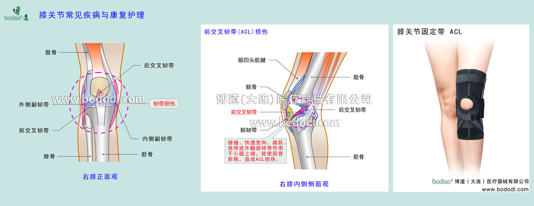 COMMON DISEASES OF KNEE JOINT 